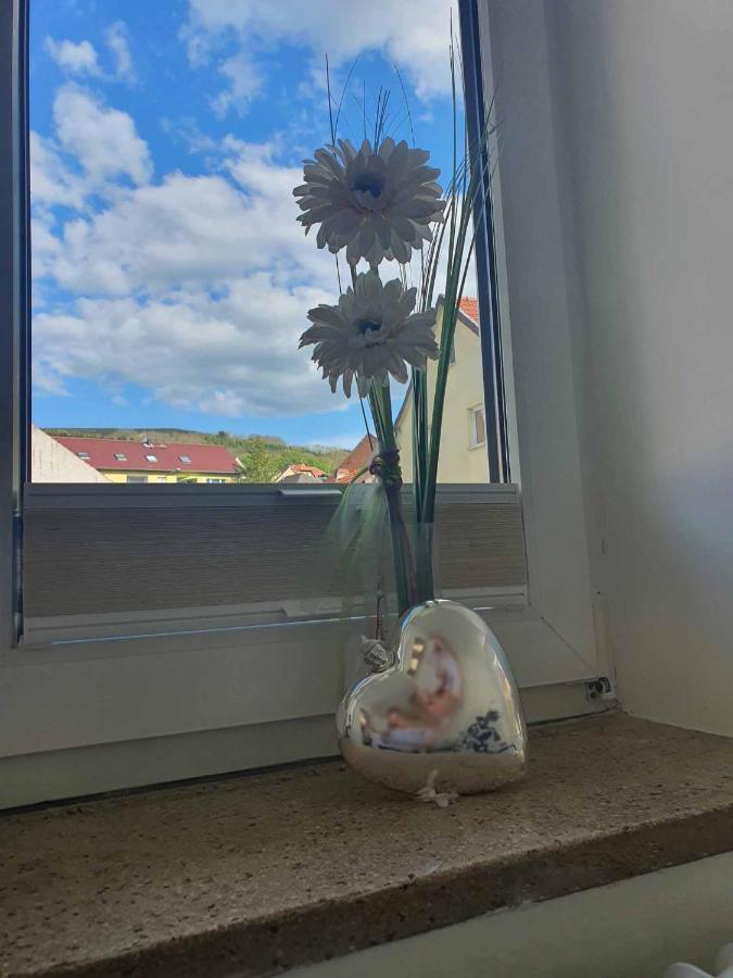 Apartamento Blick Punkt Tann  Exterior foto